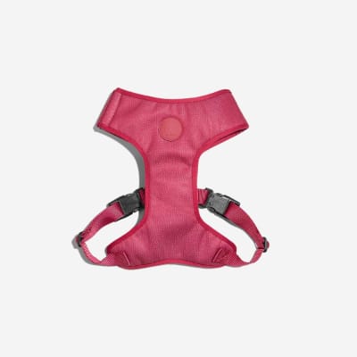 ARNÉS PERRO - ZEE DOG - BORDEAU AIR MESH HARNESS3