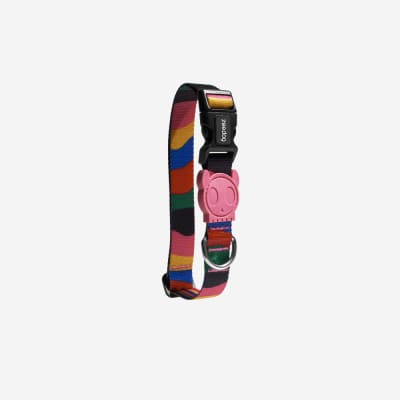 ACCESORIO PERRO - ZEE DOG - CHROMA COLLAR ACCESORIO PERRO - ZEE DOG - CHROMA COLLAR