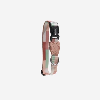 COLLAR PERRO - ZEE DOG - LAGUNA COLLAR PERRO - ZEE DOG - LAGUNA
