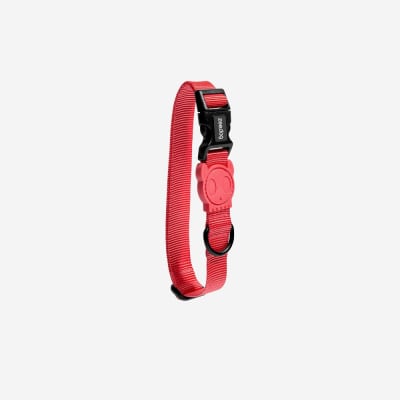 COLLAR PERRO - ZEE DOG - NEON CORAL4