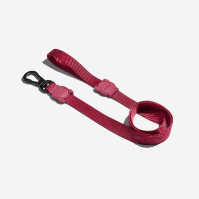 CORREA PERRO - ZEE DOG - BORDEAU LEASH4