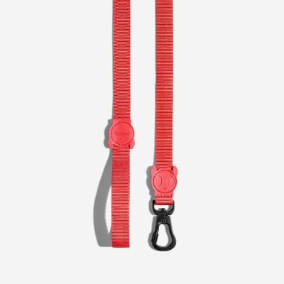 CORREA PERRO - ZEE DOG - NEON CORAL5