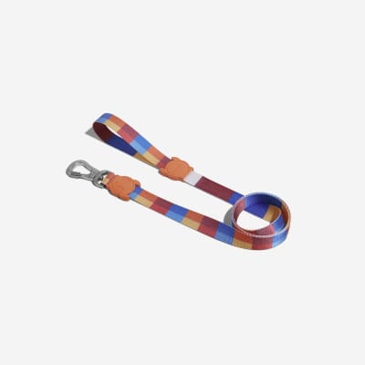 CORREA PERRO - ZEE DOG - PARKER LEASH1