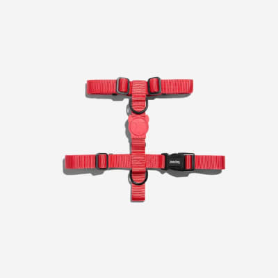 ARNÉS PERRO - ZEE DOG - NEON CORAL H HARNESS2