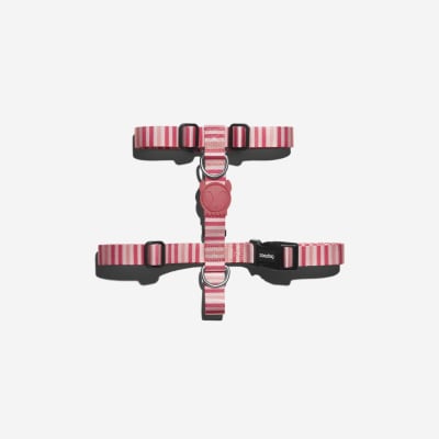ARNES PERRO - ZEE DOG - PEPPERMINT H HARNESS ARNES PERRO - ZEE DOG - PEPPERMINT H HARNESS