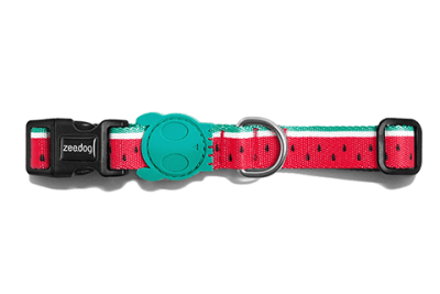 COLLAR PERRO - ZEE DOG - LOLA COLLAR PERRO - ZEE DOG - LOLA