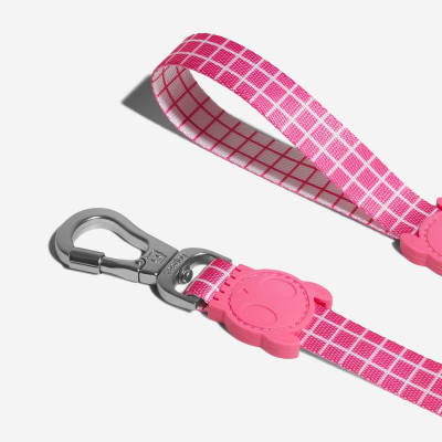 CORREA PERRO - ZEE DOG - PINK WAVE LEASH1
