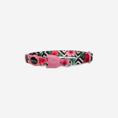 COLLAR GATO - ZEE CAT - MAHALO COLLAR GATO - ZEE CAT - MAHALO