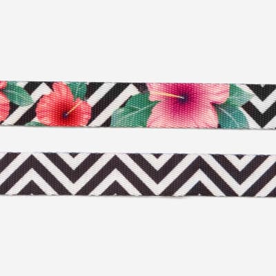 COLLAR GATO - ZEE CAT - MAHALO COLLAR GATO - ZEE CAT - MAHALO