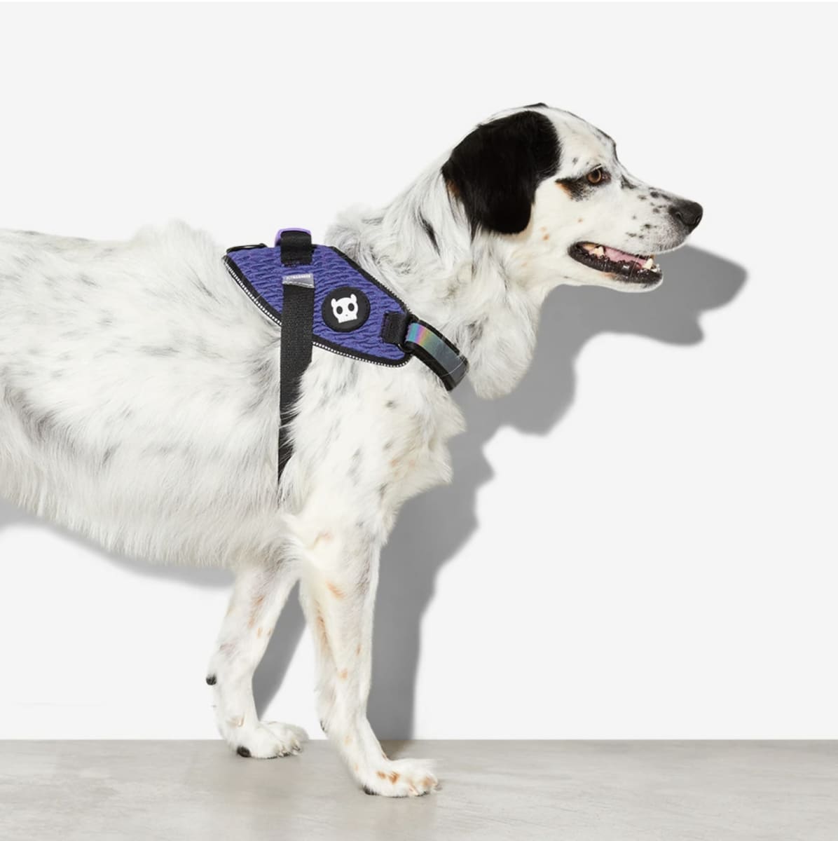 ARNÉS PERRO - ZEE DOG - WICKED FLY HARNESS2