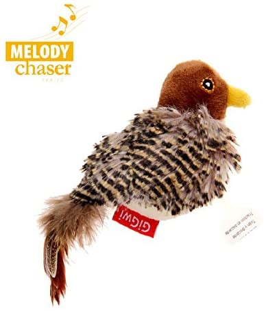 JUGUETE MASCOTA - GIGWI - PAJARO MELODY CHASER1