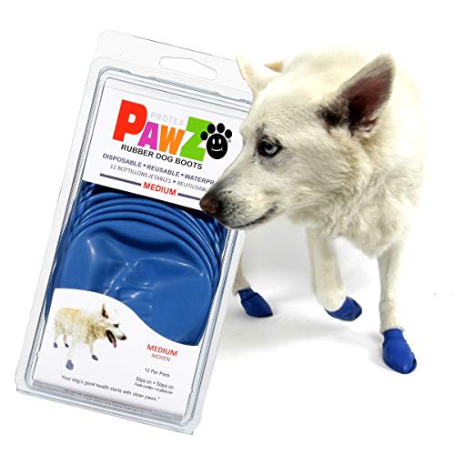 ACCESORIO PERRO - PAWZ - BOTITAS6