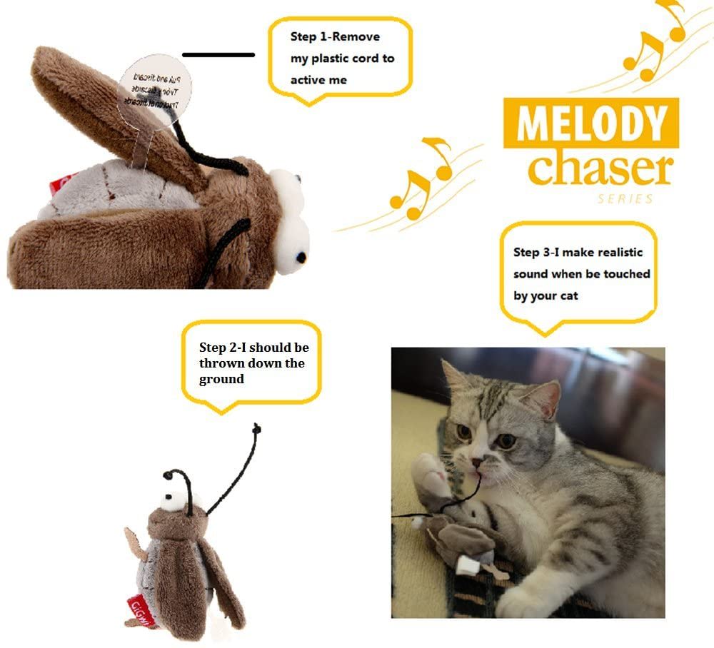 JUGUETE MASCOTA - GIGWI - GRILLO MELODY CHASER8