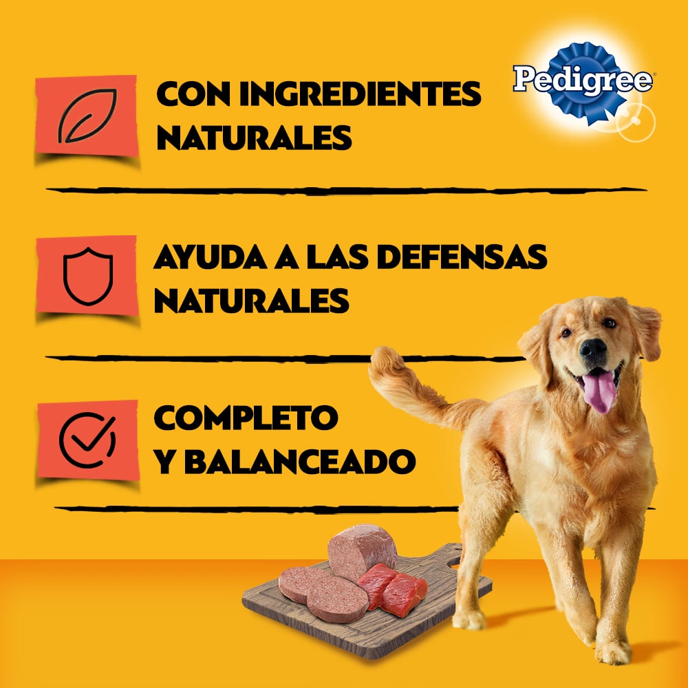 ALIMENTO HUMEDO PERRO - PEDIGREE - LATA ADULTO CARNE3