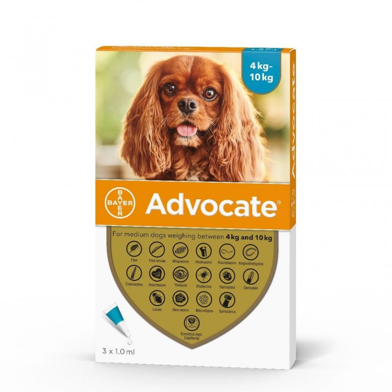 ANTIPARASITARIO PERRO - BAYER - ADVOCATE 4 - 10 KG1