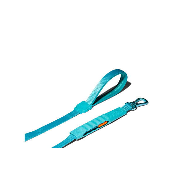 CORREA PERRO - ZEE DOG - AIR LEASH BLUE3