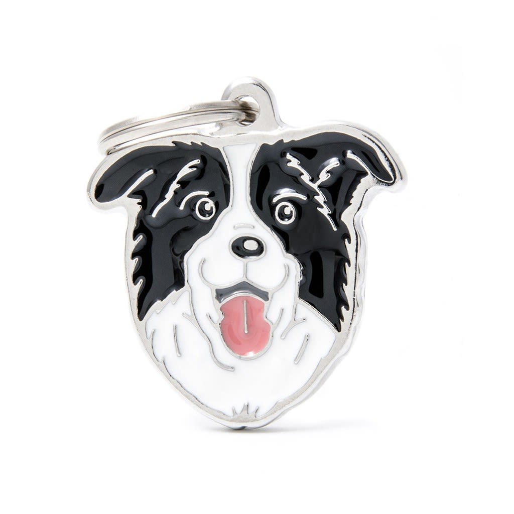 PLACA MASCOTA - MY FAMILY - FRIENDS BORDER COLLIE 0