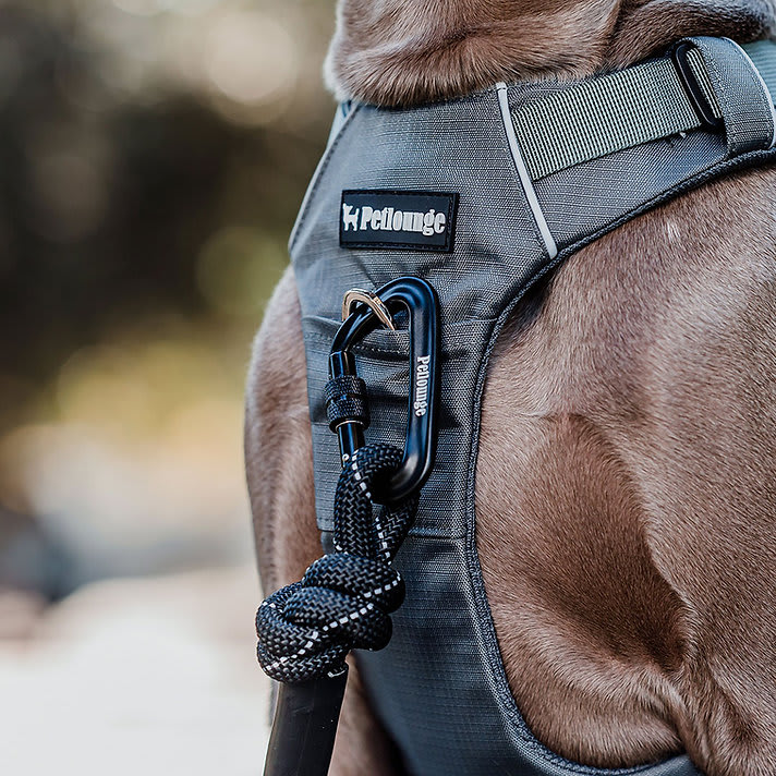 ARNES PERRO - PETLOUNGE - GRIS OUTDOOR2