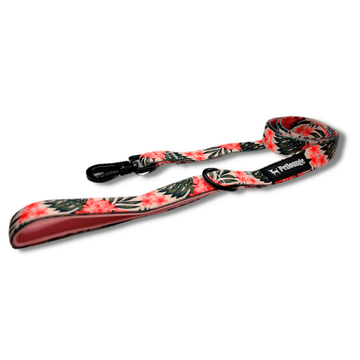 CORREA MASCOTA - PETLOUNGE - FLOWER POWER7