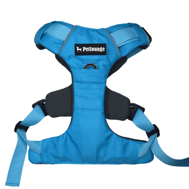 ARNES PERRO - PETLOUNGE - CELESTE OUTDOOR 7