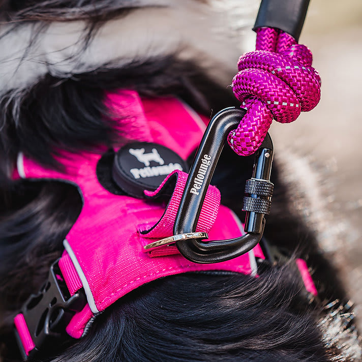 ARNES PERRO - PETLOUNGE - ROSADO OUTDOOR3