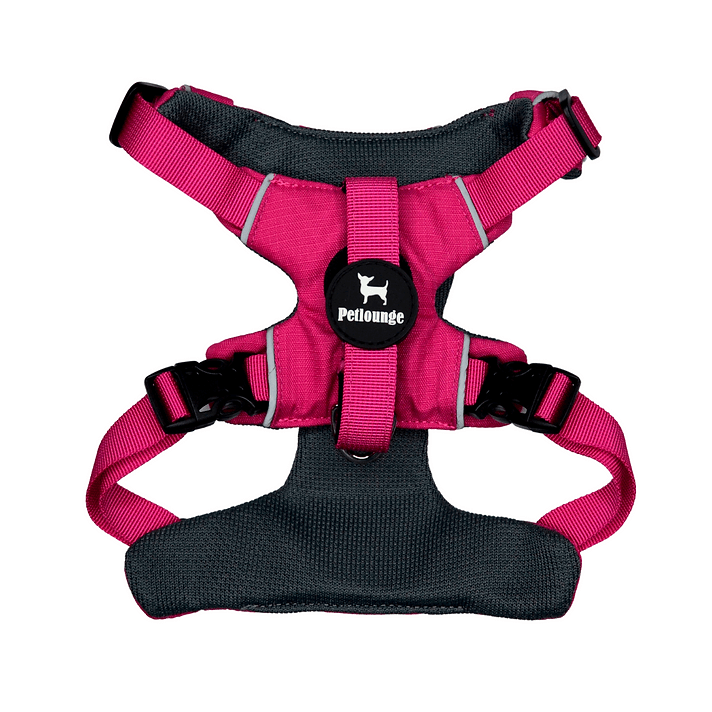 ARNES PERRO - PETLOUNGE - ROSADO OUTDOOR6