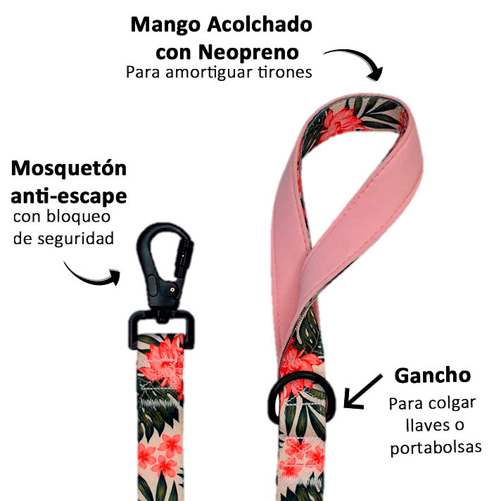 CORREA MASCOTA - PETLOUNGE - FLOWER POWER4