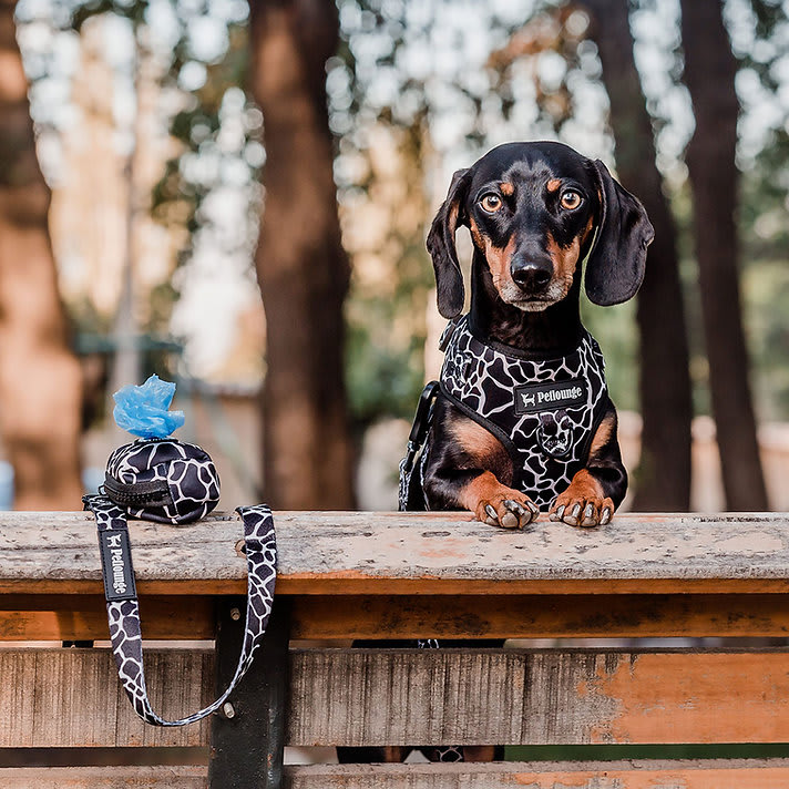 ARNES PECHERA AJUSTABLE - PETLOUNGE - VAQUITA2