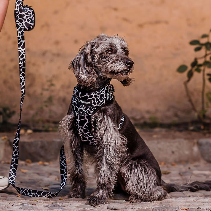 ARNES PECHERA AJUSTABLE - PETLOUNGE - VAQUITA5