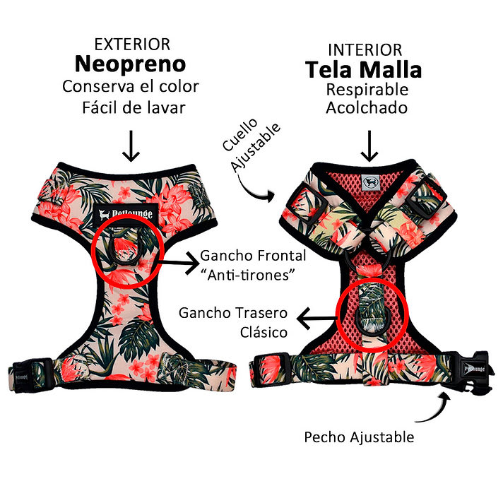 ARNES PERRO - PETLOUNGE - FLOWER POWER4