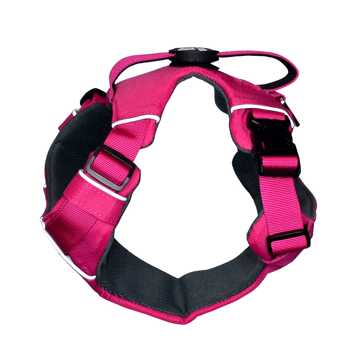 ARNES PERRO - PETLOUNGE - ROSADO OUTDOOR10
