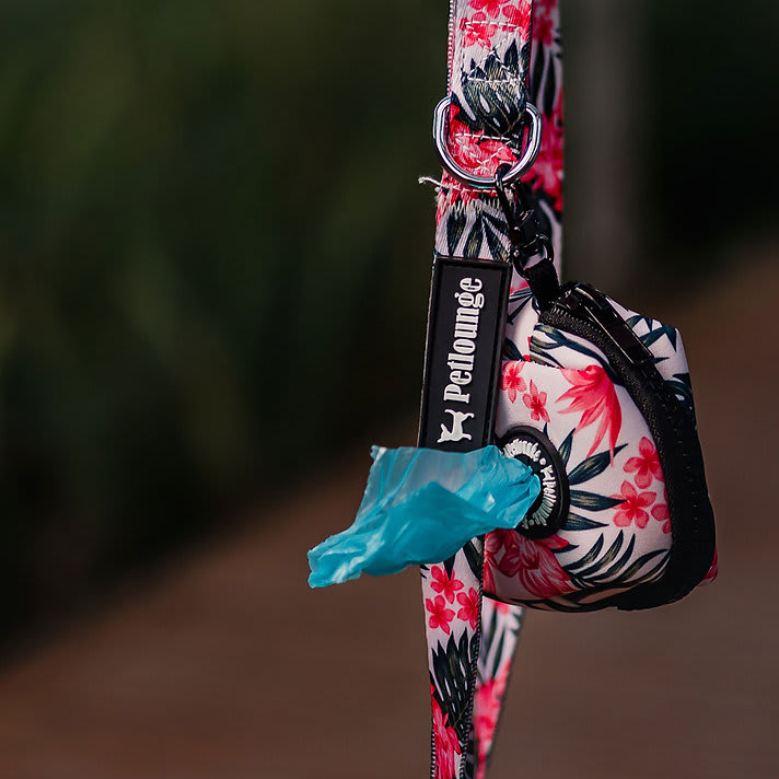 CORREA MASCOTA - PETLOUNGE - FLOWER POWER2