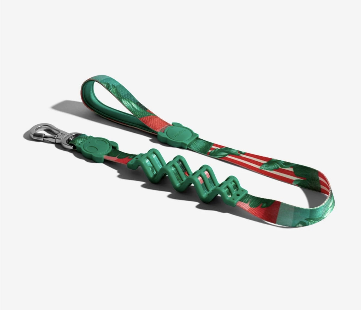 CORREA PERRO - ZEE DOG - BALI RUFF LEASH 3