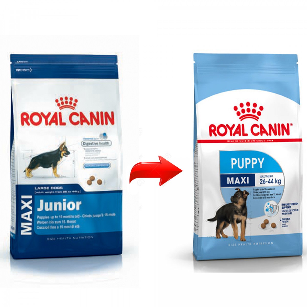 ALIMENTO PERRO - ROYAL CANIN - MAXI PUPPY 1