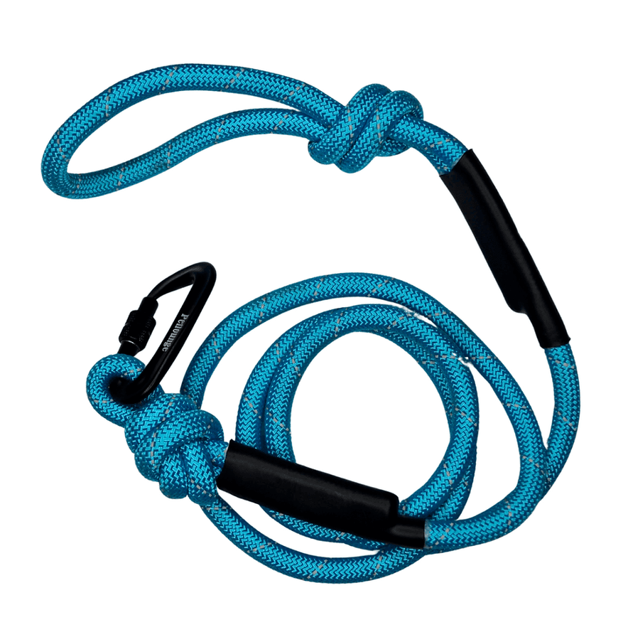 ACCESORIO MASCOTA - PETLOUNGE- CORREA RESISTENTE 4