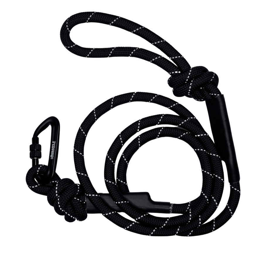 ACCESORIO MASCOTA - PETLOUNGE- CORREA RESISTENTE 5