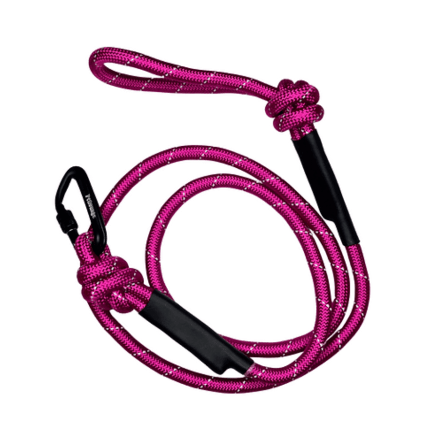 ACCESORIO MASCOTA - PETLOUNGE- CORREA RESISTENTE 2