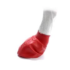 ACCESORIO PERRO - PAWZ - BOTITAS3