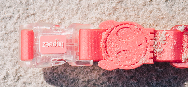 ACCESORIO PERRO - ZEE DOG - COLLAR NEOPRO BUBBLEGUM4