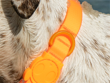 ACCESORIO PERRO - ZEE DOG - NEOPRO TANGERINE4