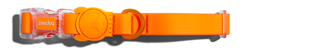 ACCESORIO PERRO - ZEE DOG - NEOPRO TANGERINE8