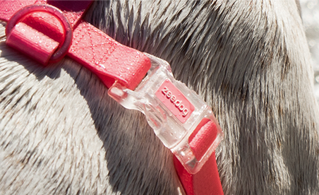 ACCESORIO PERRO - ZEE DOG - H-HARNESS NEOPRO BUBBLEGUM5