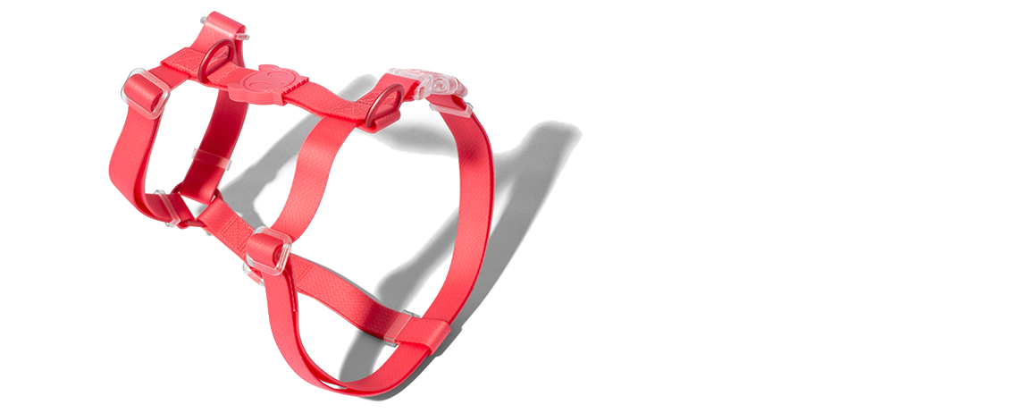 ACCESORIO PERRO - ZEE DOG - H-HARNESS NEOPRO BUBBLEGUM8