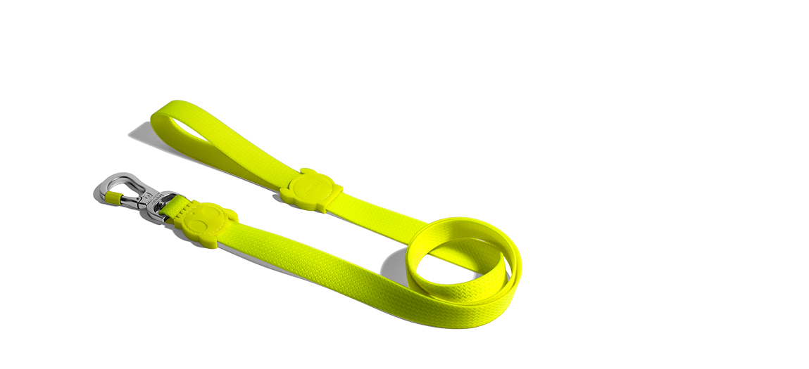 ACCESORIO PERRO - ZEE DOG - LEASH NEOPRO LIME3