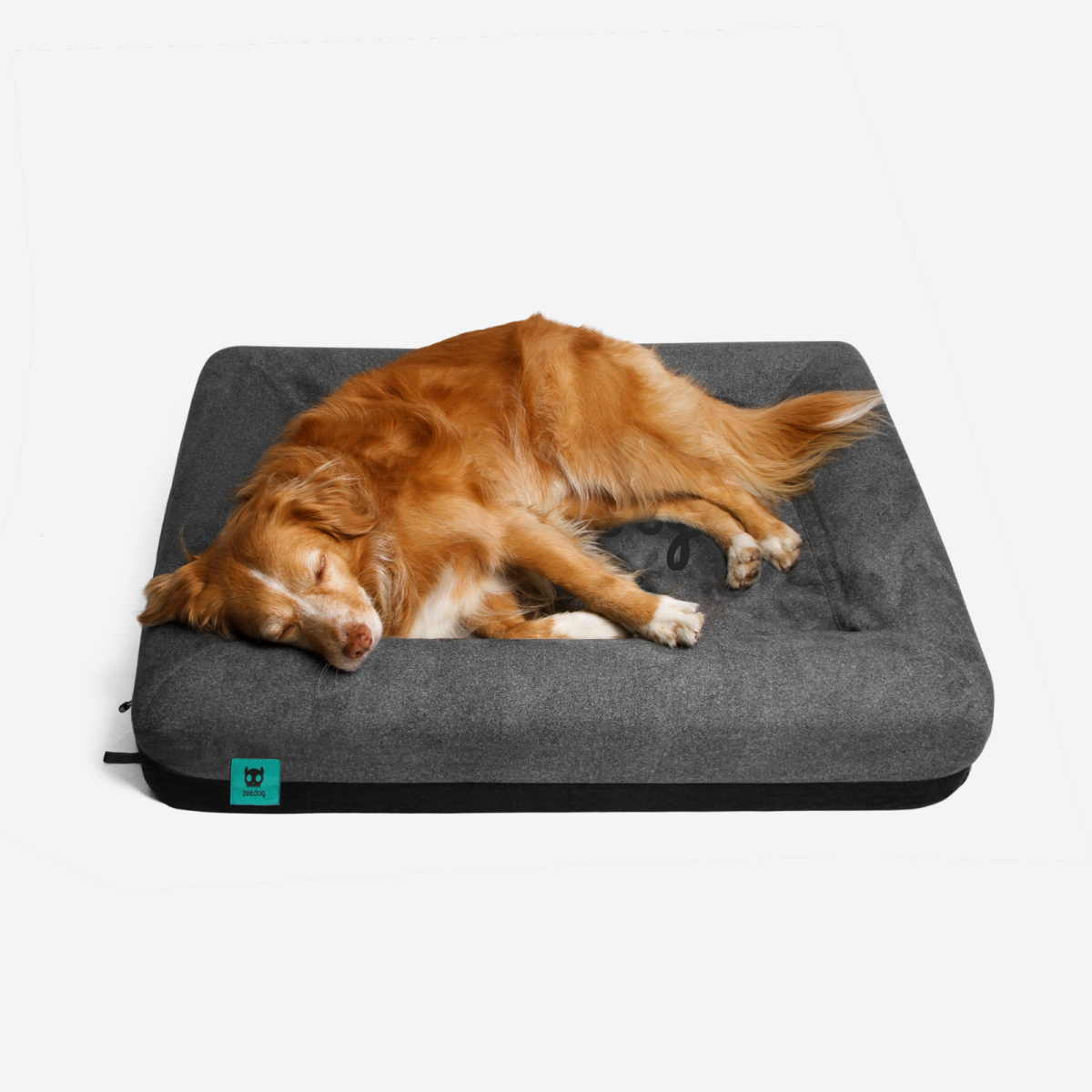 CAMA MASCOTA - ZEE DOG - ZEE BED 2