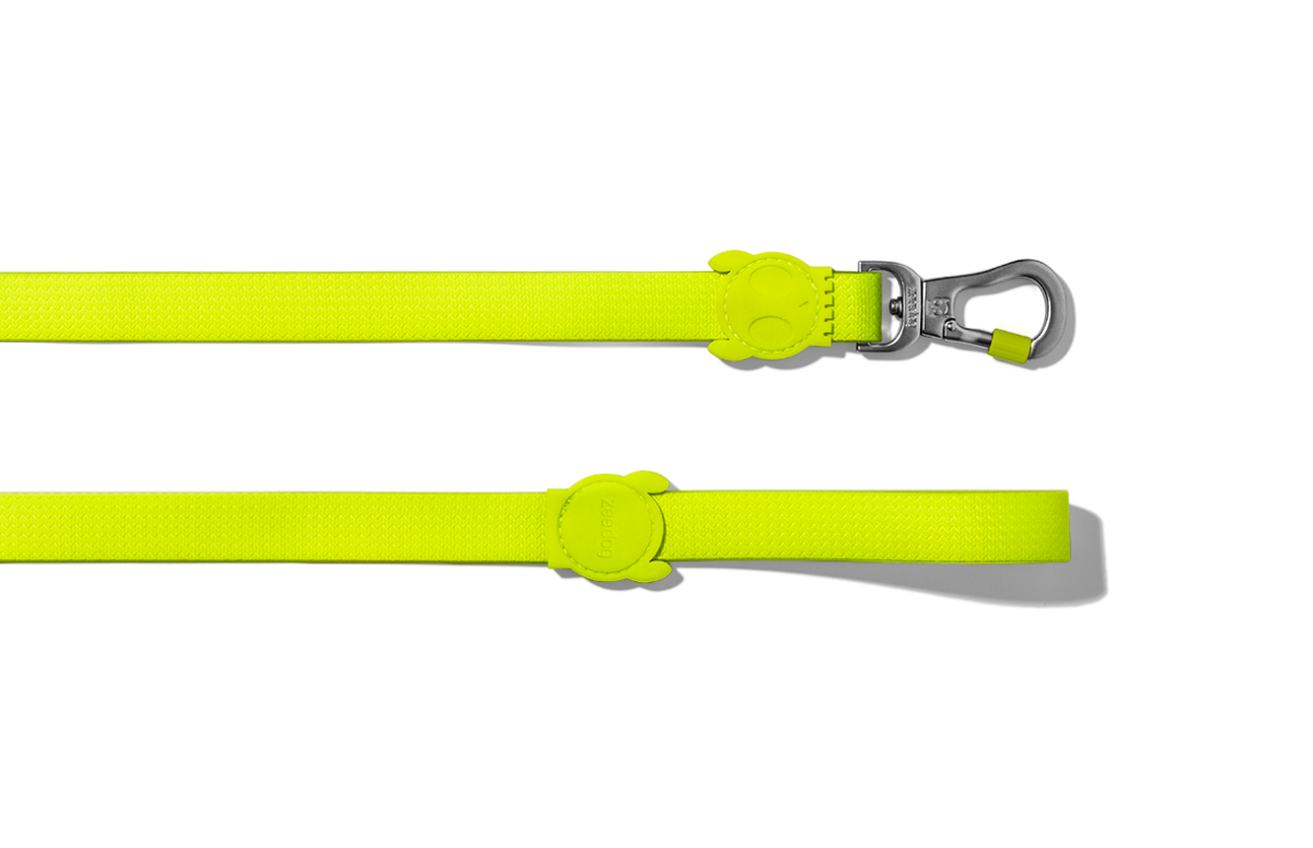 ACCESORIO PERRO - ZEE DOG - LEASH NEOPRO LIME1