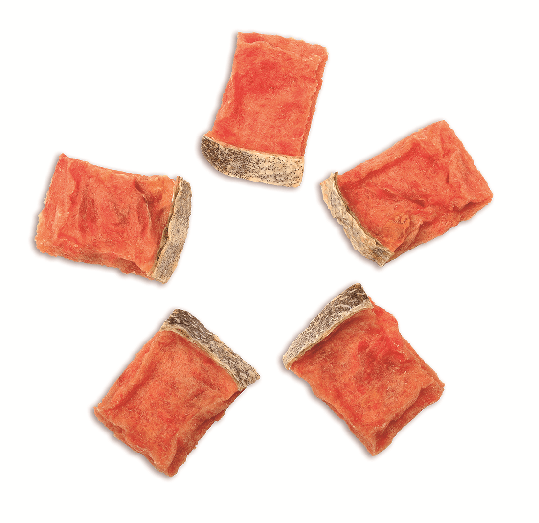 SNACK PERRO - WANPY - SALMON & FISH BITES2
