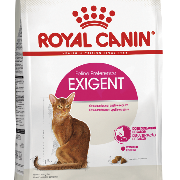ALIMENTO GATO - ROYAL CANIN - NE - EXIGENT1