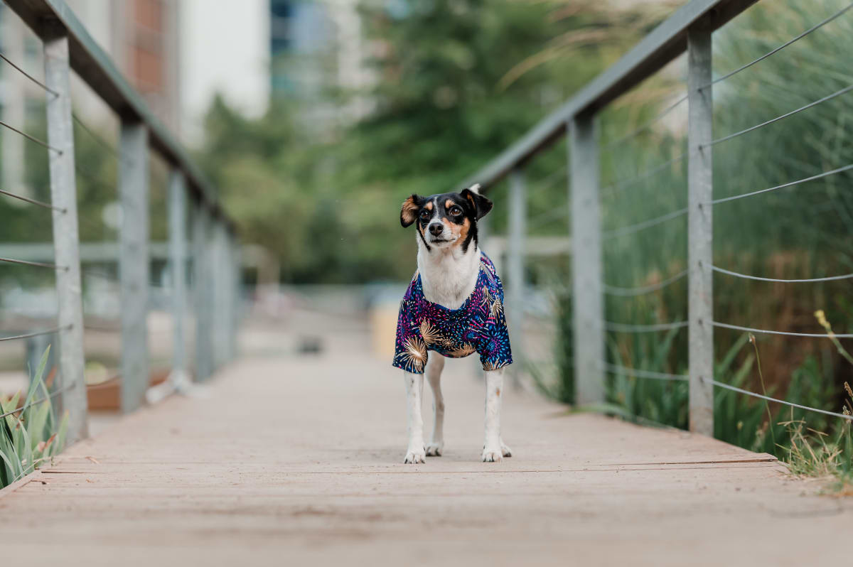 POLERA UV SUMMER 2022 23