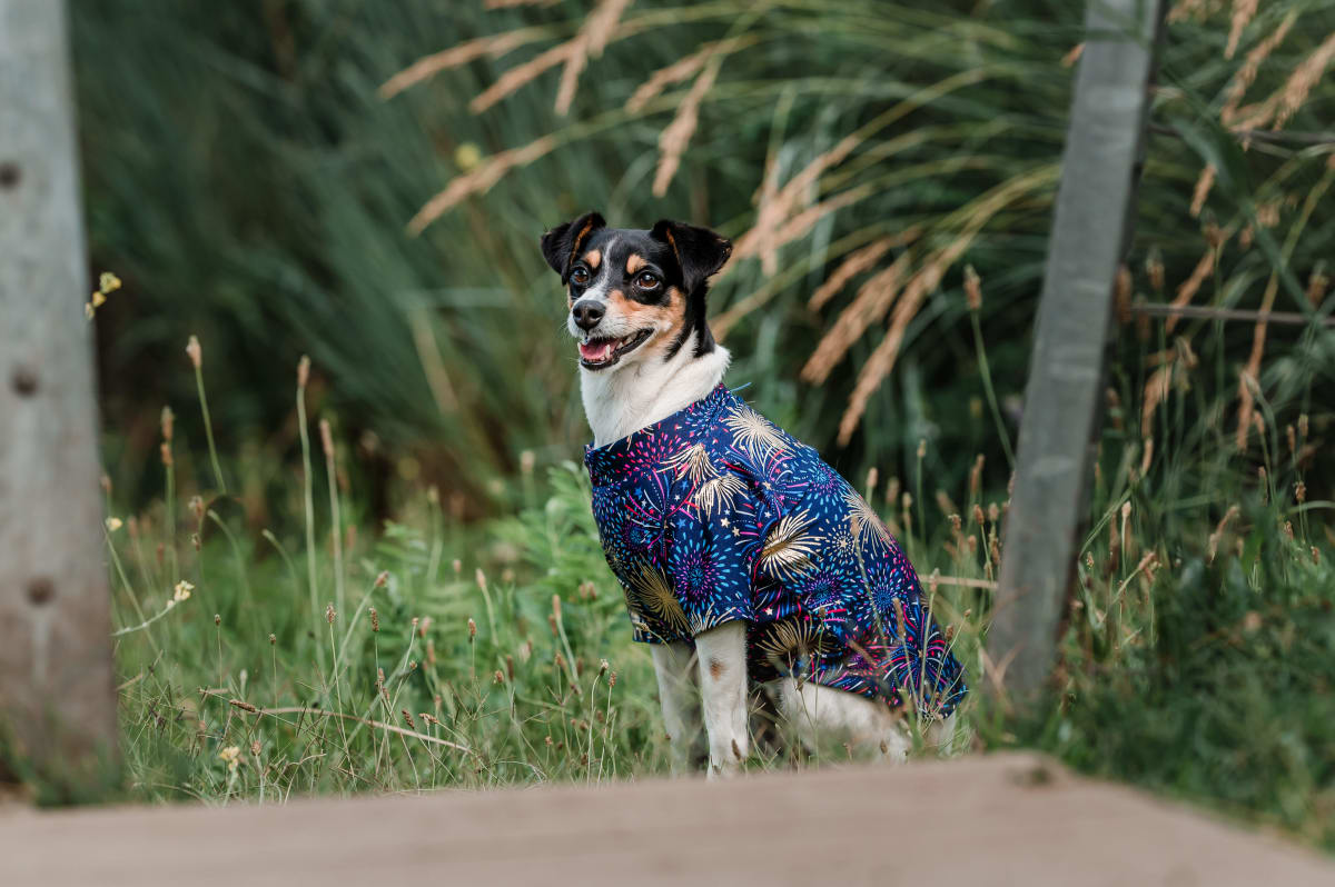 POLERA UV SUMMER 2022 24